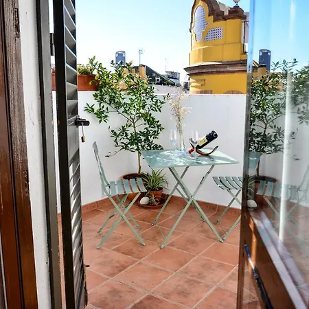 Alohamundi Campana Seville