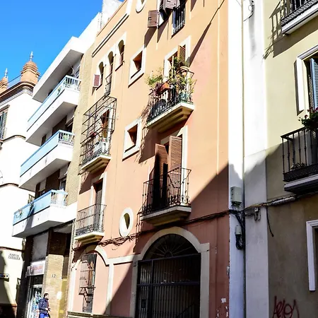 Alohamundi Campana Siviglia