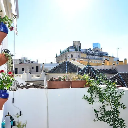 Alohamundi Campana Siviglia